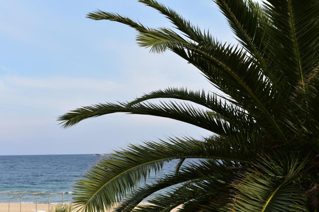 Marinis Boutique Rooms Nea Iraklitsa Exterior photo